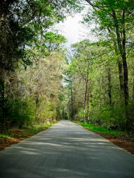 istock One Lane Road To Nowhere in South TX 1143059230