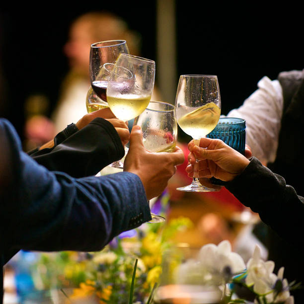 Celebratory Toast with Red and White Wine backlit Cape Town South Africa