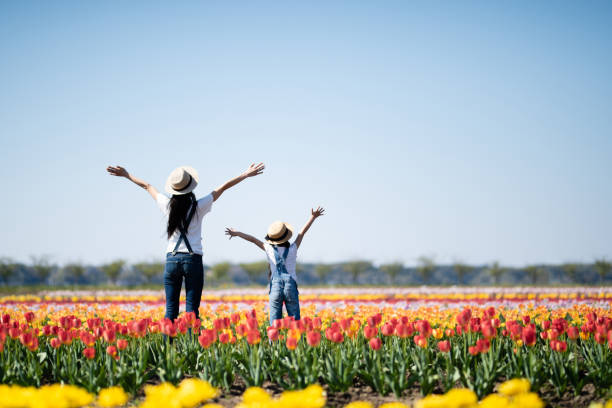 madre e figlio alzano le mani nel campo fiorito - lui e lei foto e immagini stock