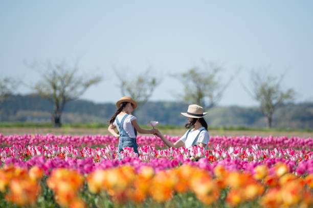 istock Mother and daughter handing a tulip 1143063702