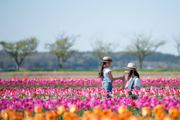 istock Mother and daughter handing a tulip 1143063710