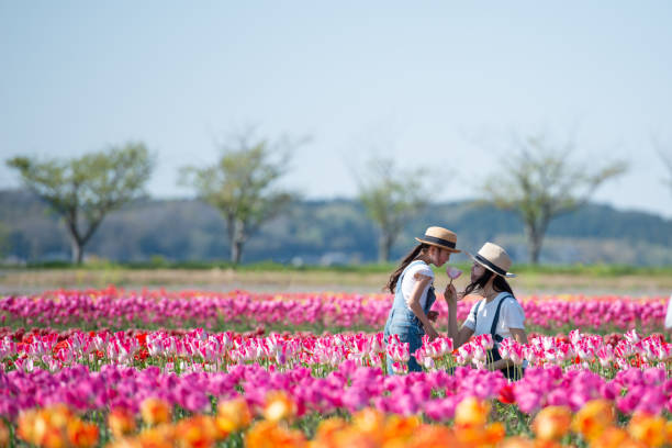istock Mother and daughter handing a tulip 1143063711