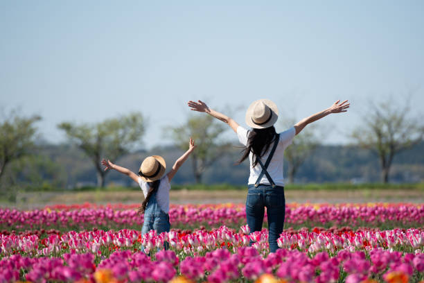 madre e figlio alzano le mani nel campo fiorito - lui e lei foto e immagini stock