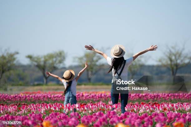 花の畑で手を上げている母子 - 春のストックフォトや画像を多数ご用意 - 春, 花, 旅行