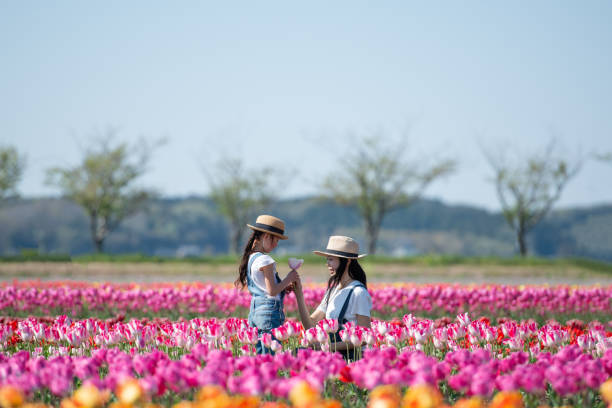 istock Mother and daughter handing a tulip 1143063744