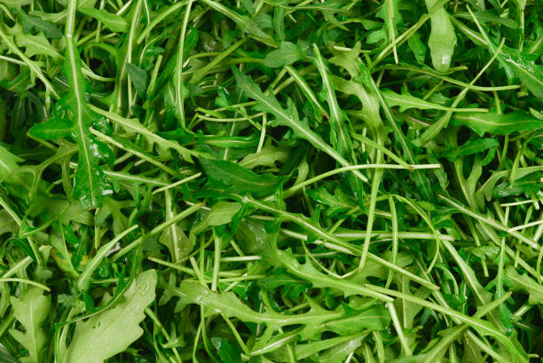 istock Fresh leaves of arugula as background. 1143065880