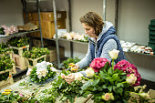 frau-schneidet-blumen-zur-anordnung.jpg?b=1&s=170x170&k=20&c=nXEZnGnaOk545_PmABc_IhF_lE-SMpLRfr88tPBoIKs=