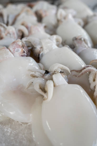 istock Cuttlefish Put on ice to prepare for cooking. 1143067294