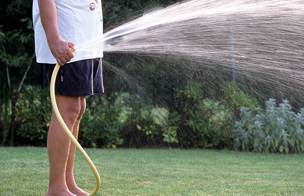 Mature man watering garden with hose, mid section, side view stock photo