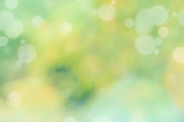 istock Abstract defocused nature background with green and yellow bokeh 1143074071