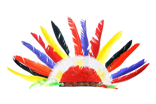 istock indian Party Headgear 114307434
