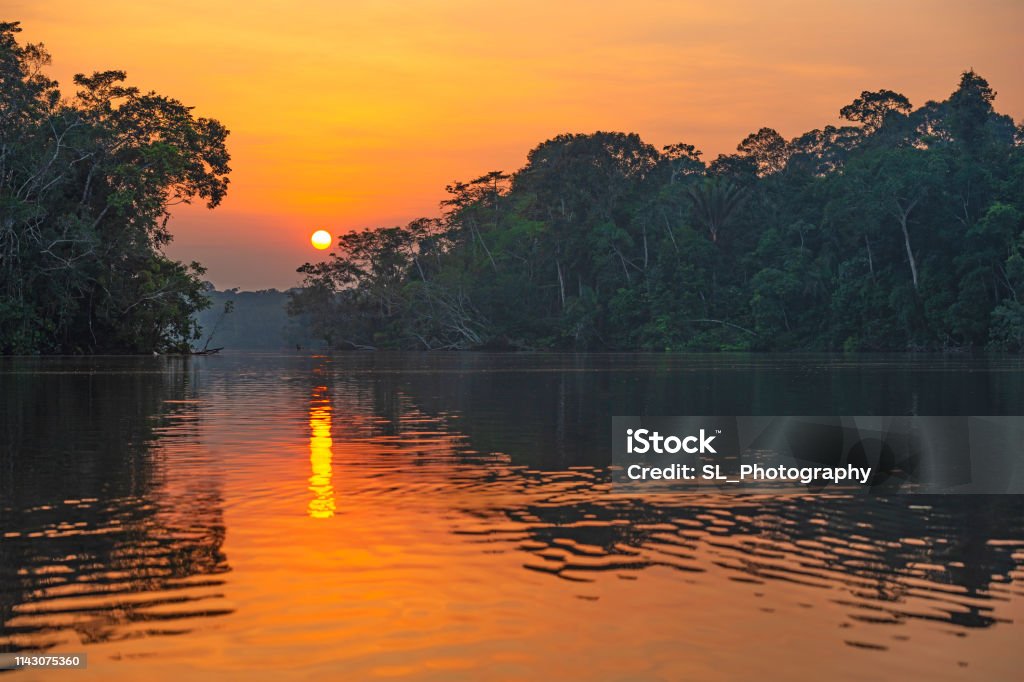 Amazon Rainforest Sunset Reflection Reflection of a sunset by a lagoon inside the Amazon Rainforest Basin, Yasuni national park. The Amazon river basin comprises the countries of Brazil, Bolivia, Colombia, Ecuador, Guyana, Suriname, Peru and Venezuela. Amazon Region Stock Photo