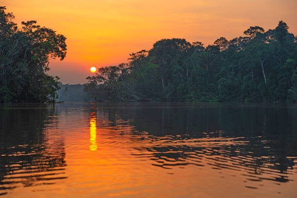Amazon Rainforest Sunset Reflection Reflection of a sunset by a lagoon inside the Amazon Rainforest Basin, Yasuni national park. The Amazon river basin comprises the countries of Brazil, Bolivia, Colombia, Ecuador, Guyana, Suriname, Peru and Venezuela. tortuguero national park photos stock pictures, royalty-free photos & images