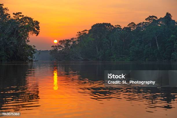 Amazon Rainforest Sunset Reflection Stock Photo - Download Image Now - Amazon Region, Amazon River, Amazon Rainforest