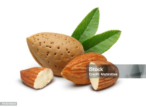 Almonds With Leaves Isolated On White Stock Photo - Download Image Now - Almond, Almond Tree, White Background