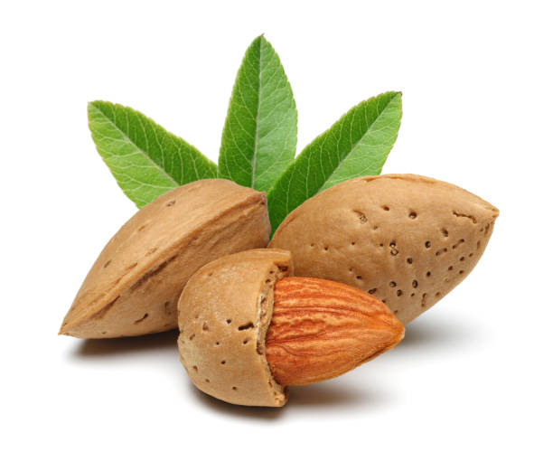 istock Almonds with leaves isolated on white 1143076520