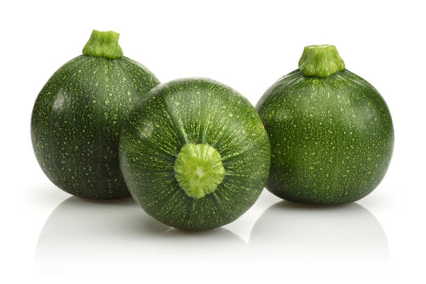 зеленый круглый цуккини изолированы на белом - zucchini vegetable white green стоковые фото и изображения