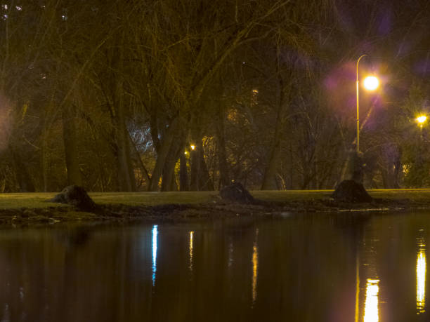 istock Pond in a city park at night 1143080109