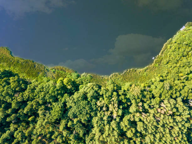 istock River with reflection of clouds and deciduous forest on a summer day. Aerial view from the drone 1143080177