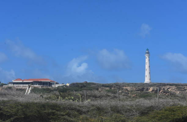 istock California Lighthouse in Aruba 1143081098