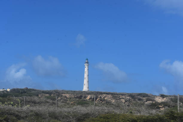 istock California Lighthouse in Aruba 1143081138