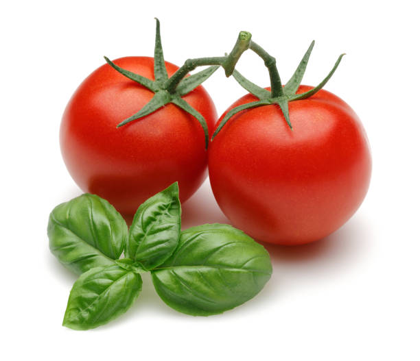 istock Fresh tomatoes and basil leaves isolated on white 1143082021