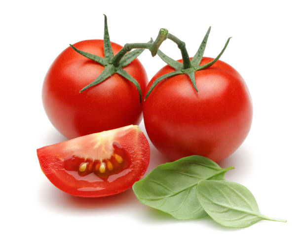 istock Fresh tomatoes and basil leaves isolated on white 1143082125