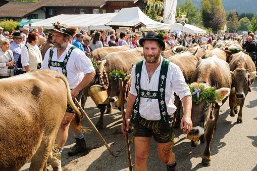 OBERMAISELSTEIN, BAVARIA / GERMANY - SEPTEMBER 23 2017: two men wearing lederhosen with adorned cattle at the traditional annual Almabtrieb / Viehscheid in Allgaeu