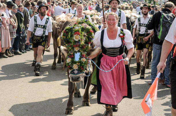 OBERMAISELSTEIN, BAVARIA / GERMANY - SEPTEMBER 23 2017: woman wearing dirndl an men wearing lederhosen with adorned cattle at the traditional annual Almabtrieb / Viehscheid in Allgaeu