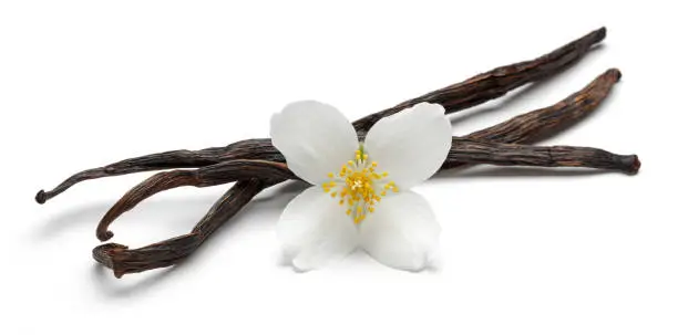 Photo of Vanilla sticks with jasmine flowers isolated