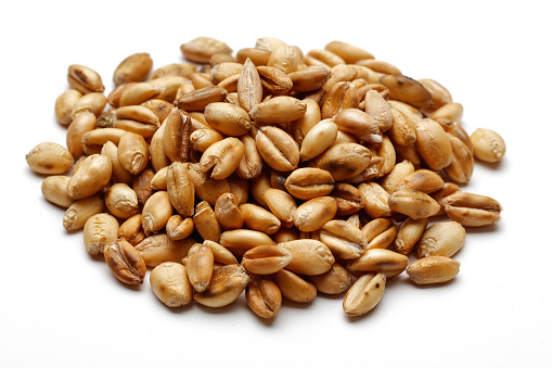 Heap of dry wheat grains isolated on white background