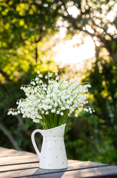 白い花の花束の谷のユリ (スズラン majalis) とも呼ばれます: 5 月の鐘、私たちの女性の涙と白い点線の水差し形の花瓶でメアリーの涙、テーブルの上に、木に - cut flowers bouquet flower flower arrangement ストックフォトと画像