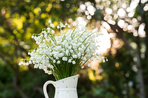 Bouquet of white flowers Lily of the valley (Convallaria majalis) also called: May bells, Our Lady's tears and Mary's tears in a white dotted jug shaped vase, outdoors on a table, trees on