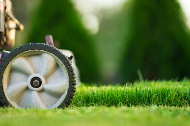 istock Lawn mower on green grass 1143084546