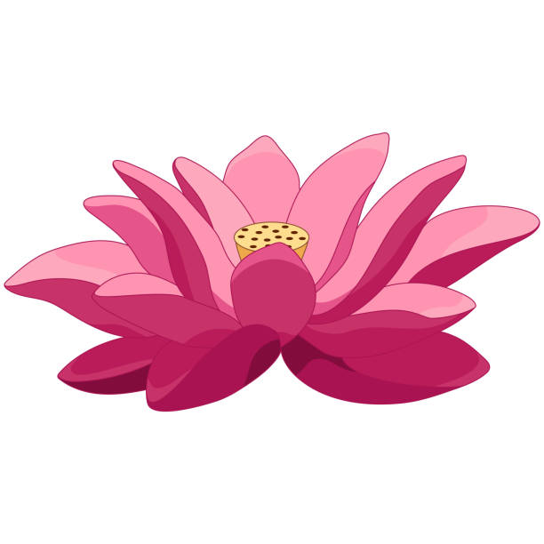 4,159 Lotus Flower Cartoon Stock Photos, Pictures & Royalty-Free Images - iStock 4,159 Lotus Flower Cartoon Stock Photos, Pictures & Royalty-Free Images - iStock