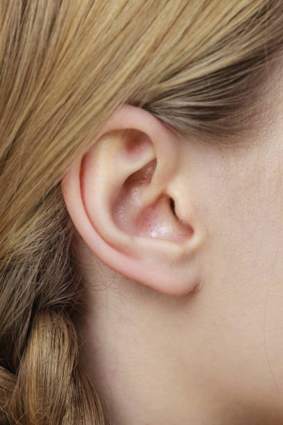 istock Close up on female ear and braid hair 1143086853