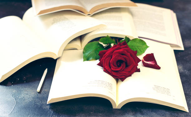 istock Vintage book and rose on blackboard background 1143088498