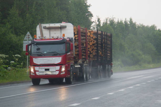 istock Timber truck carries logs. 1143091218