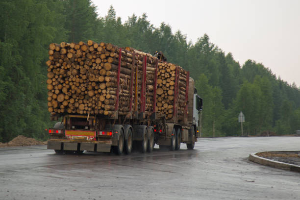 istock Timber truck carries logs. 1143091228