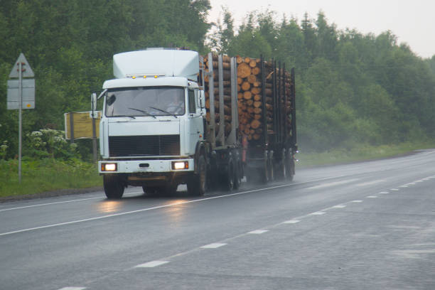 istock Timber truck carries logs. 1143091232