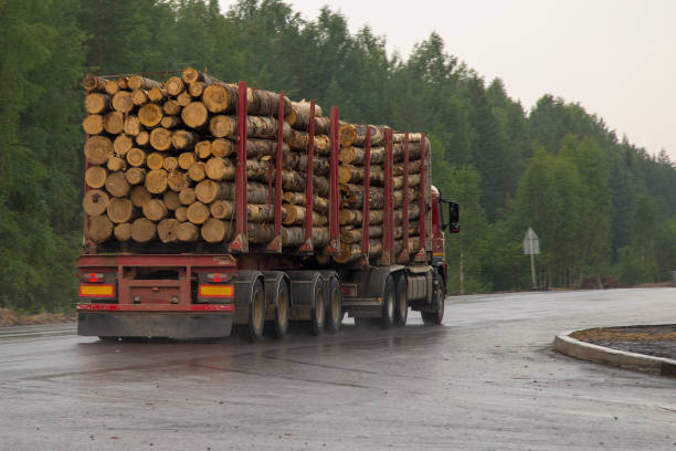 istock Timber truck carries logs. 1143091235