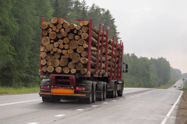 istock Timber truck carries logs. 1143091254