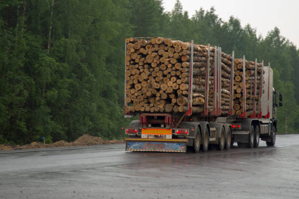 istock Timber truck carries logs. 1143091348