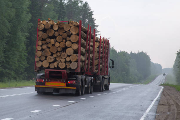 istock Timber truck carries logs. 1143091374