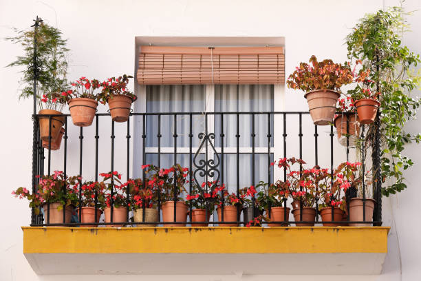istock Andalucia Spain whitewashed village flower pot balcony terrace display 1143093184