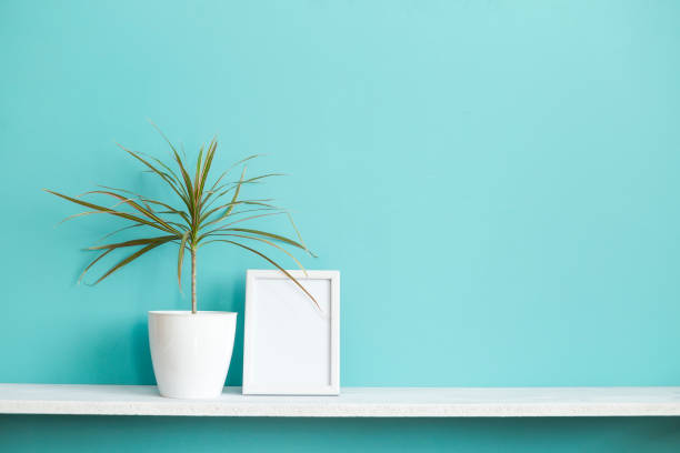 istock Modern room decoration with Picture frame mockup. White shelf against pastel turquoise wall with potted dracaena plant. 1143093371