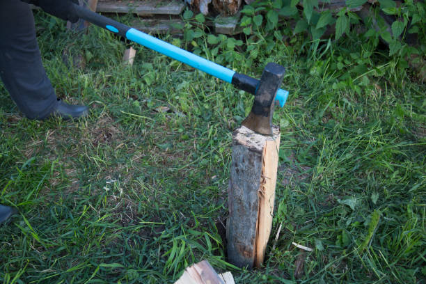 istock Man chopping wood with an ax. 1143093461