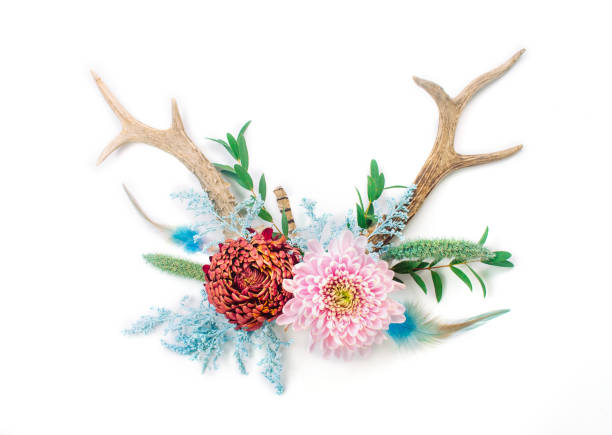 Head of Green Deer with antlers, Christmas or New Year decoration on the wall. Minimal winter holidays idea. Pink background with copy space