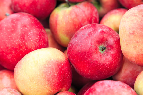 istock Red yellow fresh apples group of apples background 1143098211