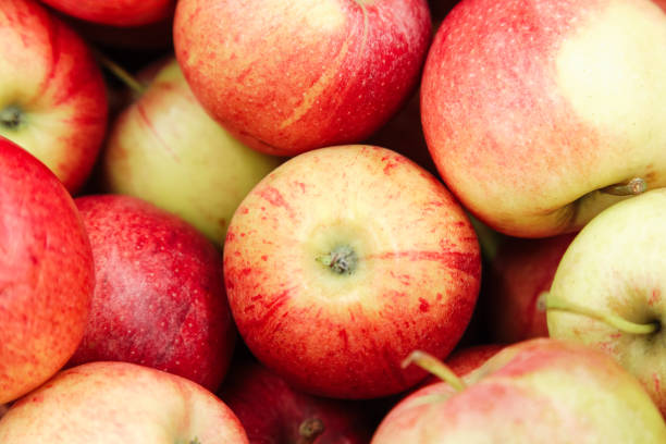 istock Red yellow fresh apples group of apples background 1143098455